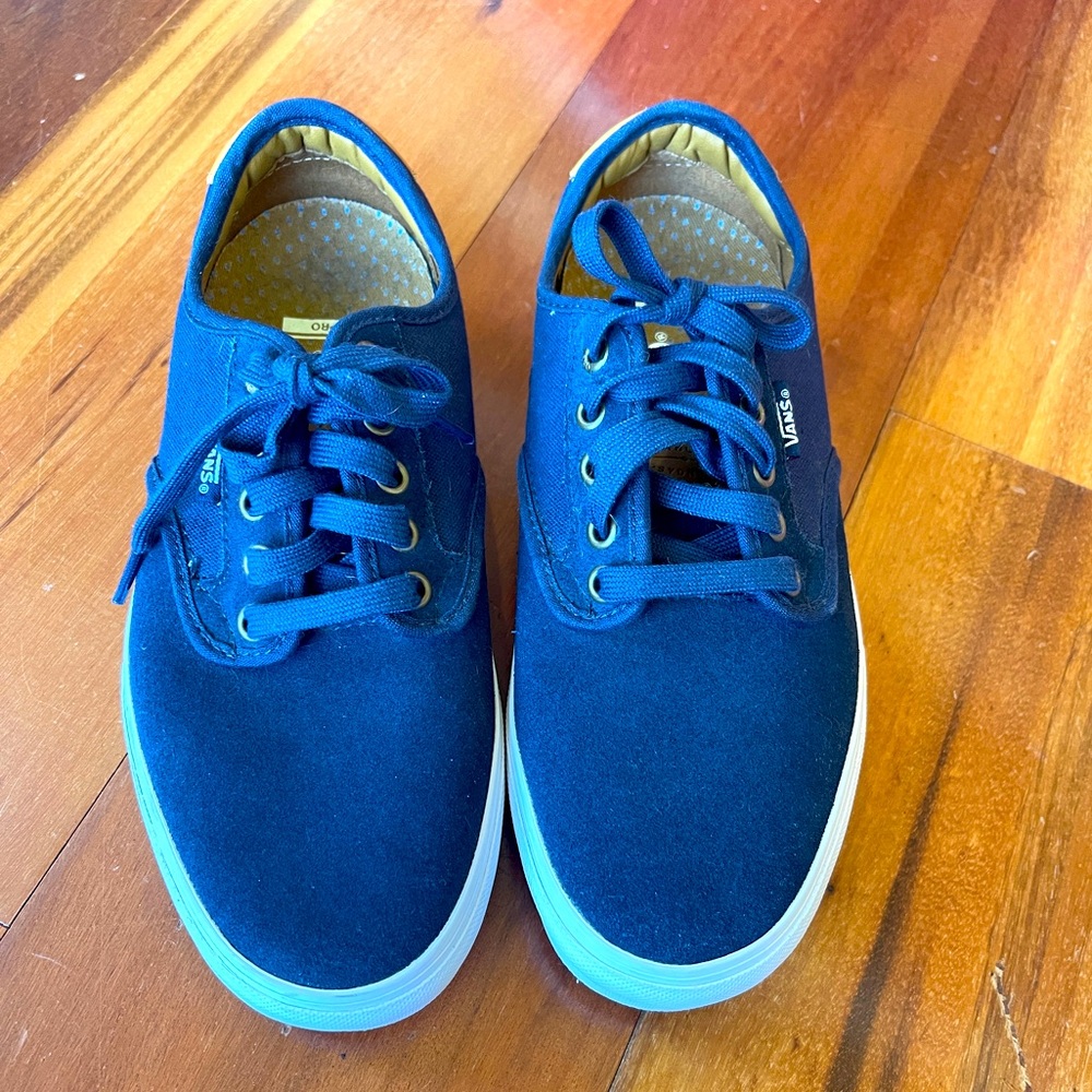 Vans Skateboard Shoes